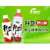 蘇打水單瓶