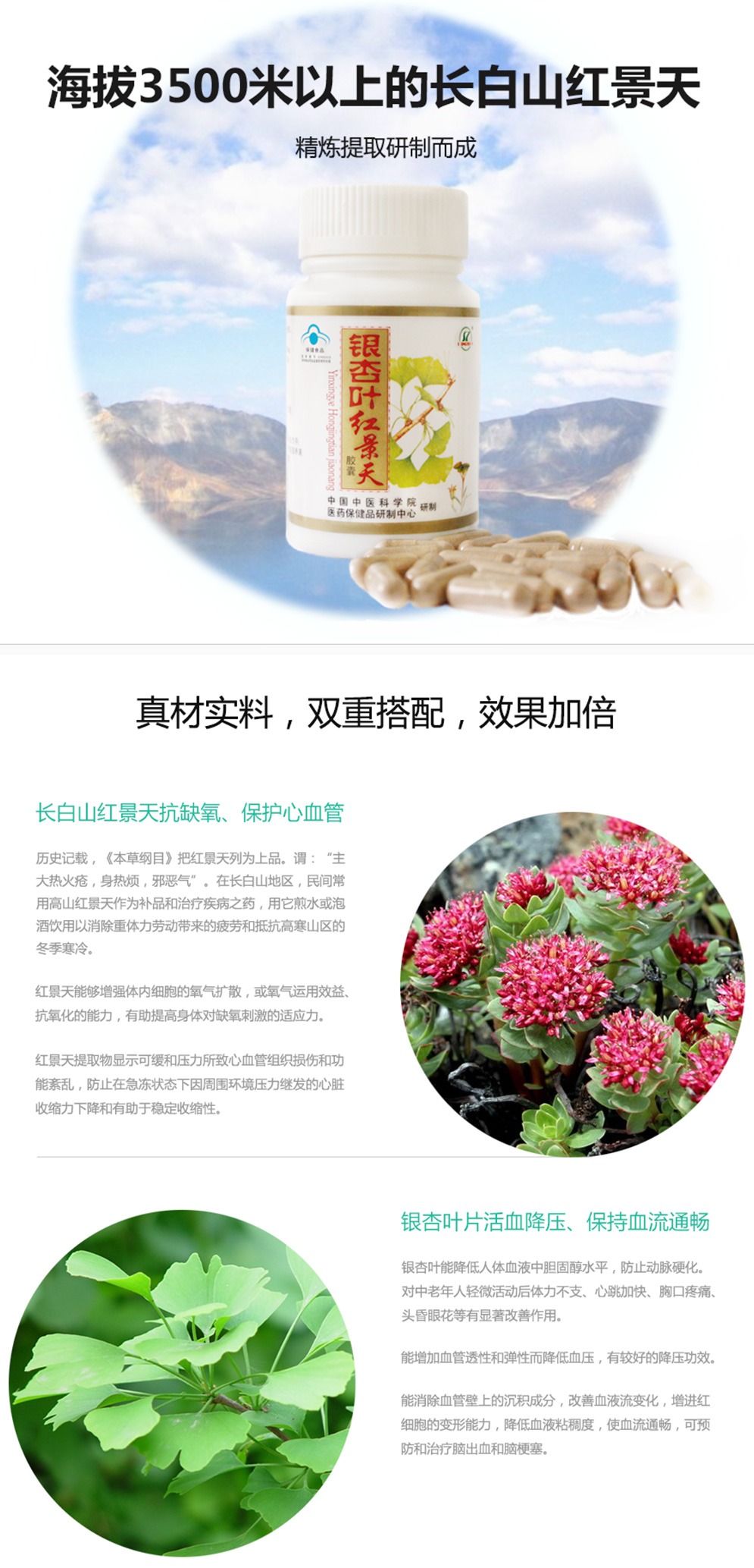 紅景天單頁_04