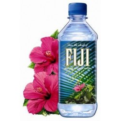FIJI 斐濟天然礦泉水 斐濟群島 進口水1000ml*12(整箱裝) 正品