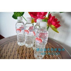 時尚與健康同在 漁山泉天然養(yǎng)生礦泉水510ml*24瓶 信譽(yù)保障