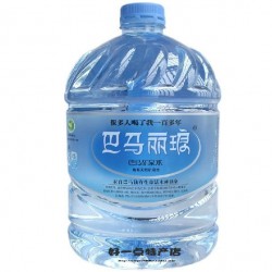 廣西巴馬麗瑯礦泉水4.6L-代理價(jià)格  進(jìn)口水 國內(nèi)高端品牌批發(fā)市場