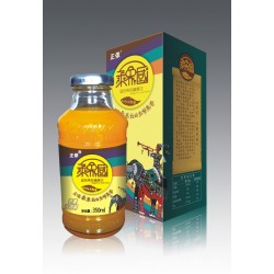 正濃乘象國好喝的亞熱帶果汁|正濃飲品果汁招商加盟