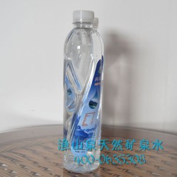 礦泉水 漁山泉天然養生礦物質礦泉水520ml*24瓶