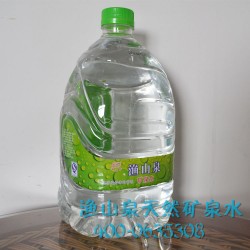 誠信廠家專業供應高品質天然礦泉水 漁山泉養生礦泉水