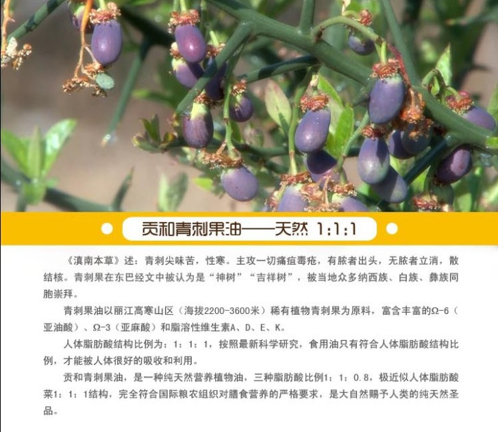 廠家批發麗江貢和供應純天然青刺果油500ml*2禮盒高端食用油經銷