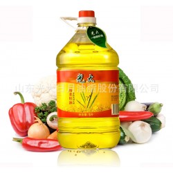 光大智育菜籽油 食用油生產廠家 非轉基因食用油 植物油 優質菜油