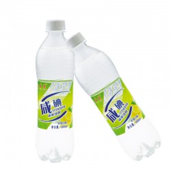 【天蘊泉水】500ml*20咸碘鹽汽水10箱包郵新品特價廠家飲用蘇打水