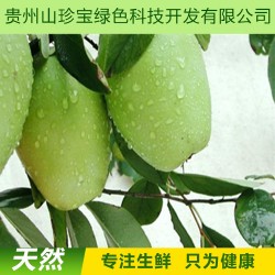 【火熱預訂】基地自產 貴州高原新鮮特級優(yōu)特 野木瓜  批發(fā)團購