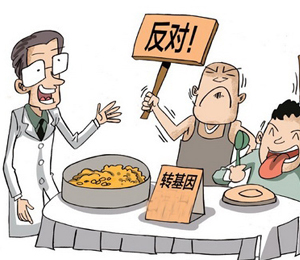 農業部明確轉基因發展路線：最后才是主糧作物