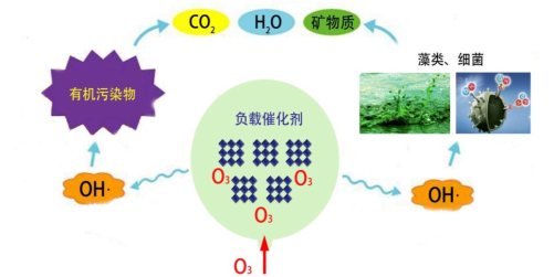 1477379155463560lgUs.png 1477379155463560lgUs.png