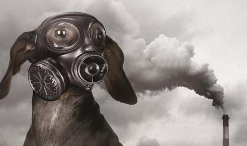 voc在線監測設備市場調研報告