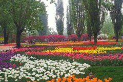 治理大氣臭氧污染需要voc在線監測儀