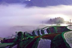 voc在線監測儀監測裝修污染源甲醛