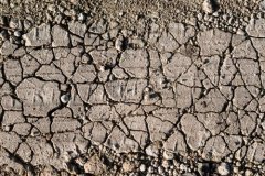 不使用測土儀?如何辨別土壤肥瘦?